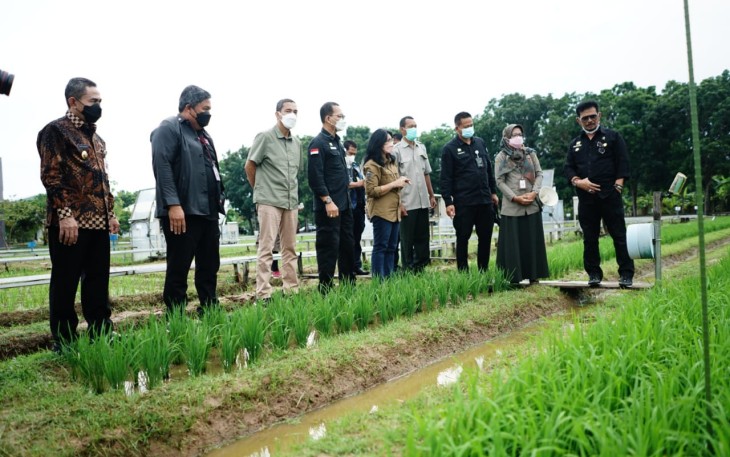 Kunjungan Menteri Pertanian di Pati