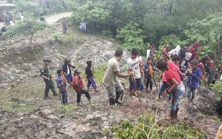 Tanam pohon cegah longsor