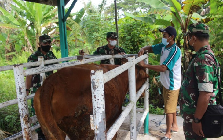 Kodim Palangka Raya Tinjau Perlestarian Ternak Sapi Dengan Metode Kawin Suntik di Kalampangan