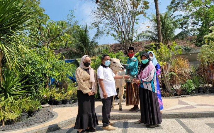 Samwil Bagikan 4 Sapi untuk Keluarga Terdampak Covid-19