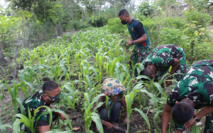 Satgas TMMD Bantu Lansia Bersihkan Kebun Jagung