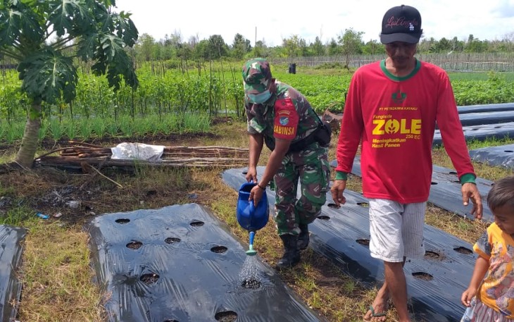 Kodim Palangka Raya Aplikasikan Pupuk Cair Lestari 102