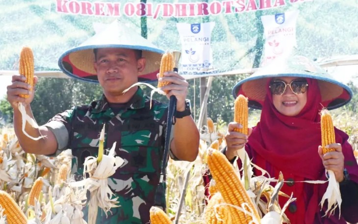 Danrem Kolonel Deni Bersama Forkopimda saat Panen Raya Jagung di Ponorogo