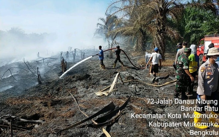 Gotong Royong Padamkan Kebakaran Lahan