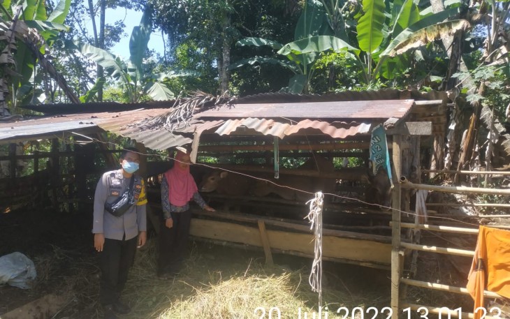 Polres Lebong Binluh dan Data Warga Miliki Hewan Ternak