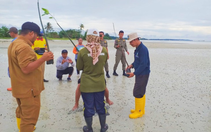 Tanam 1000 Pohon Mangrove  di pantai Pengudang Kecamatan Telok Sebong Kabupaten Bintan