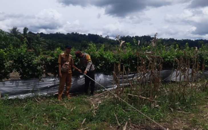 Polisi saat pecahkan permasalahan warga Kaur