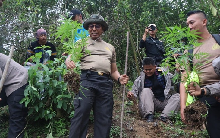 Wakapolda Bengkulu pasca Tinjau Lokasi Ladang Ganja di Sidang Dataran Rejang Lebong