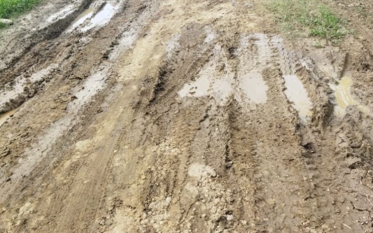 Kondisi jalan di Dusun Alue Kacang, Desa Jambo Rehat, Kecamatan Banda Alam, Kabupaten Aceh Timur