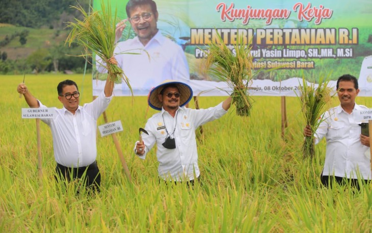Kementan saat panen raya padi