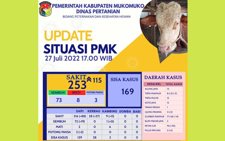 Update Perkembangan PMK di Mukomuko