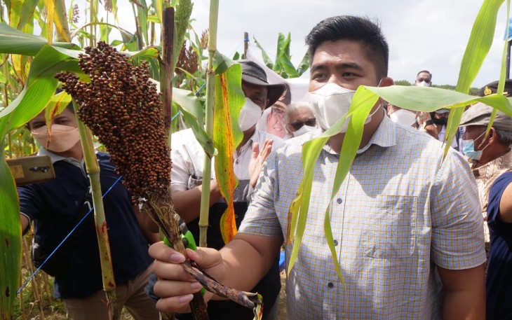 Plt Bupati Bintan Roby Kurniawan panen raya sorgum