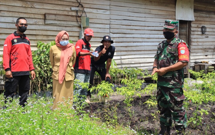 Babinsa Koramil 1016-01/Pahandut, Pelda Nurkholis, laksanakan upaya khusus peningkatan hasil produksi pertanian 