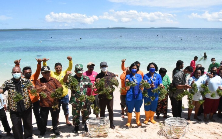  Panen Raya Hasil Budidaya Rumput Laut