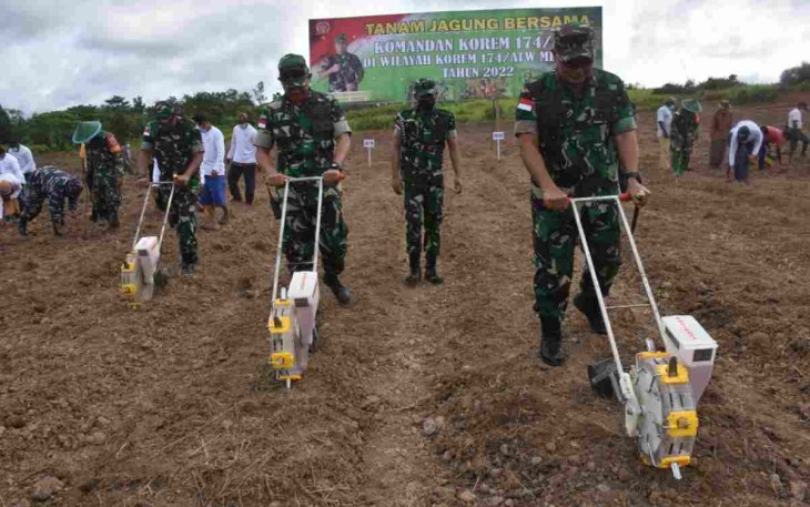 Danrem 174/Merauke pimpin mengolah lahan jagung. Sabtu (23/4/2022)