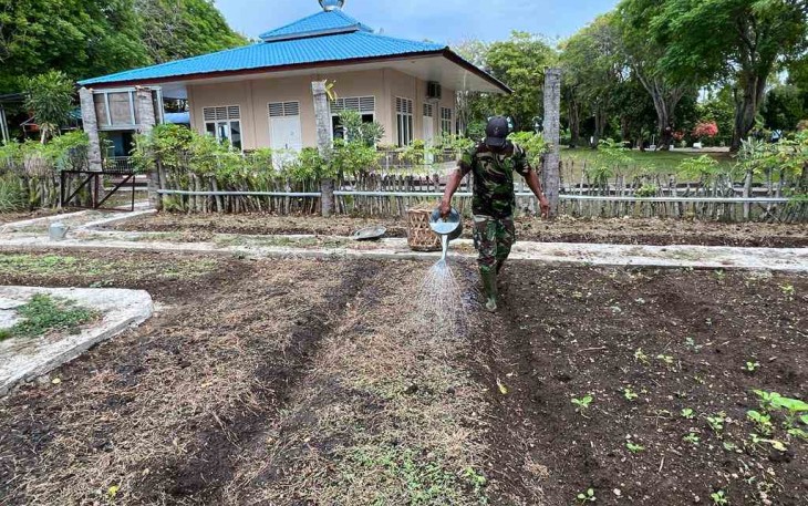 Serka Nanang siram bibit sawi di lahan kebun barokah lanud MUS. Rabu (11/05/2022)