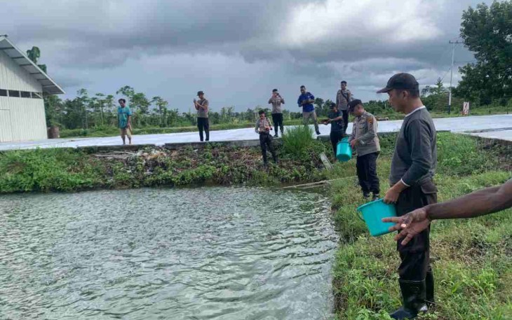 Tebar Pakan melihat perkembangan spot perikanan bapak Simon