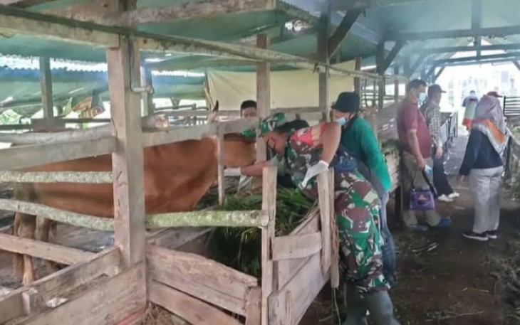 Sertu Supriyani cek hewan ternak warga binaannya