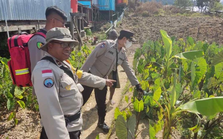 Ipda Arisandi Tancoma saat meninjau langsung kebun bapak Stevanus Belau