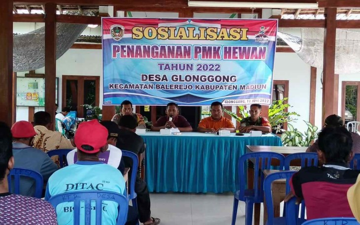 Sosialisasi penanganan penyebaran virus P.MK ternak