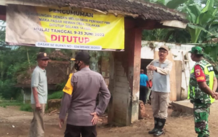 Sidak pasar hewan antisipasi penyebaran virus PMK ternak