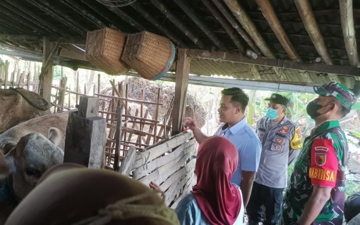 Sidak ternak warga binaan cegah penularan virus PMK
