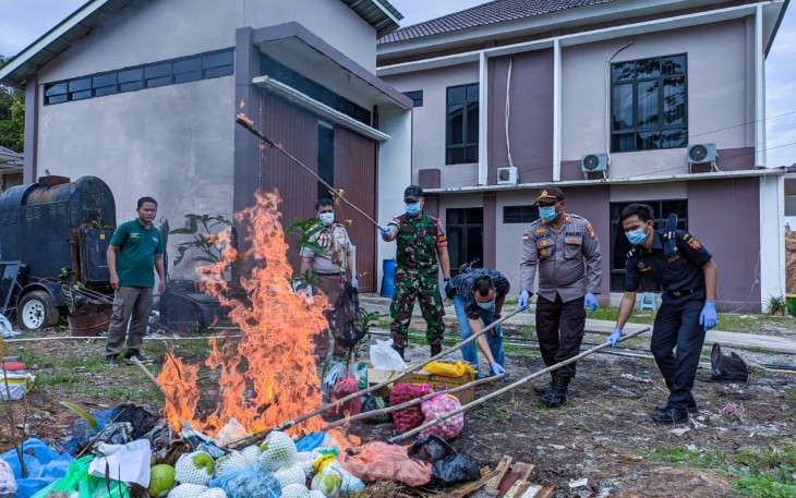 Perwira Hukum SapPemusnahan Media Pembawa HPHK & OPTK di Entikong Kalbar