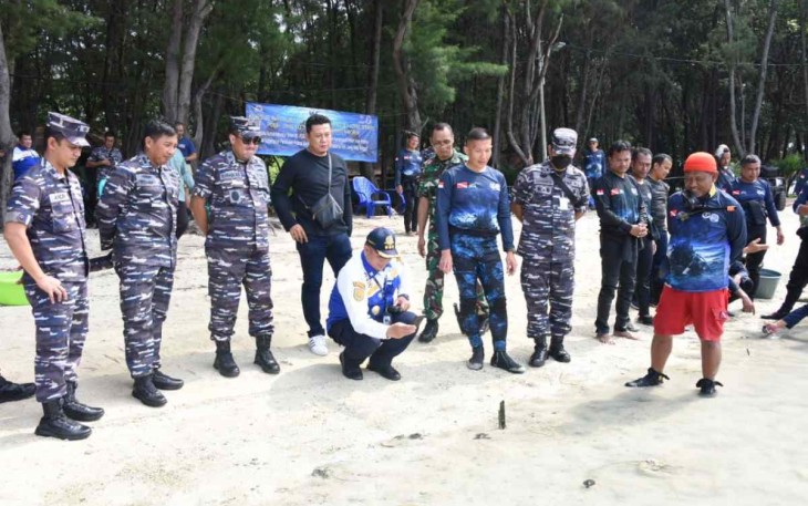 Pelepasan tukik di pulau Payung Jakarta 