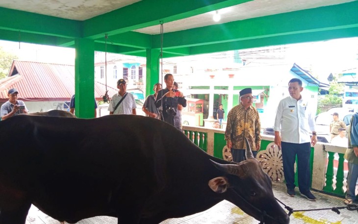 Penyerahan sapi kurban