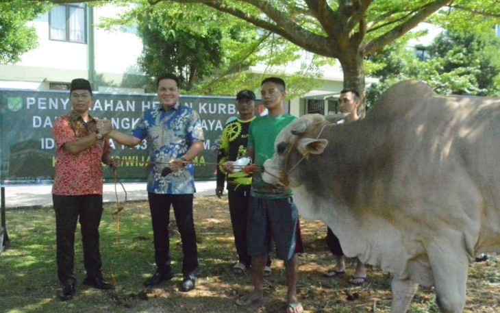 Danrem 052/Wkr saat menyerahkan hewan qurban 