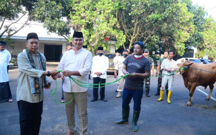 Pangdam Siliwangi saat menyerahkan hewan qurban 
