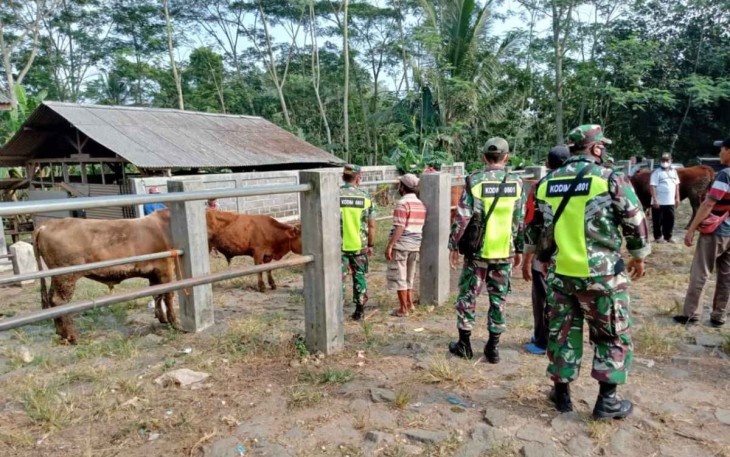 Gencarkan pengecekan hewan ternak antisipasi penyebaran wabah PMK