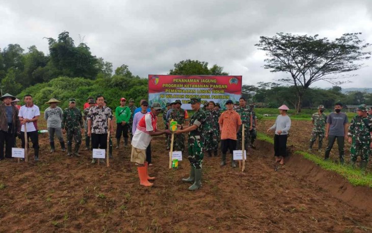 Dandim Pacitan saat tanam jagung