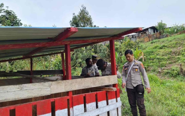 Pengecekan rutin kondisi spot ternak babi program Kasuari