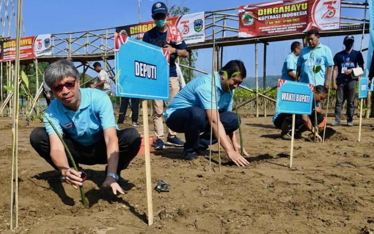 Edy Satriya saat tanam sereh di Pacitan