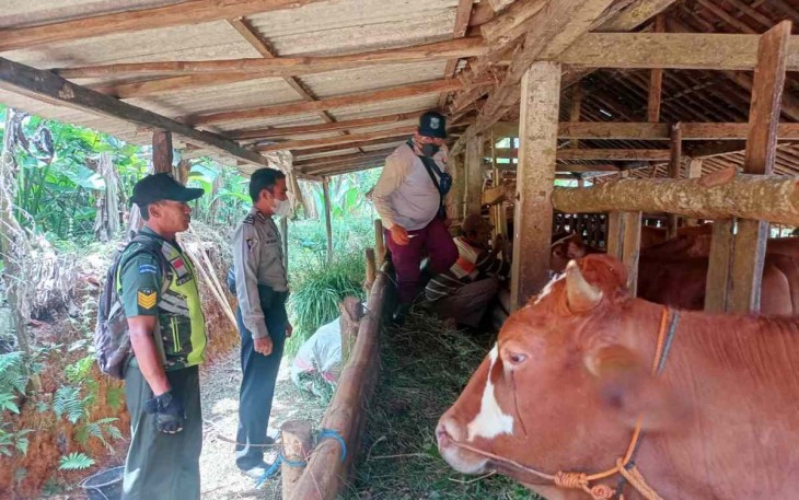 Serma Zainal saat mendampingi vaksinasi hewan ternak warga binaan