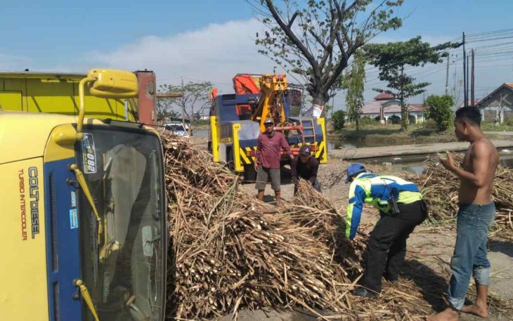 Truk terguling akibatkan tebu hasil panen berserakan di jalan puteran Sayung Demak 