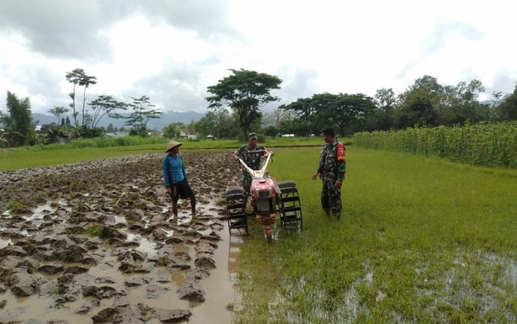 Pengolahan lahan sawah di wilayah binaan