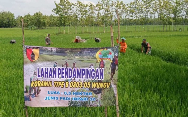 Perawatan tanaman padi warga binaan
