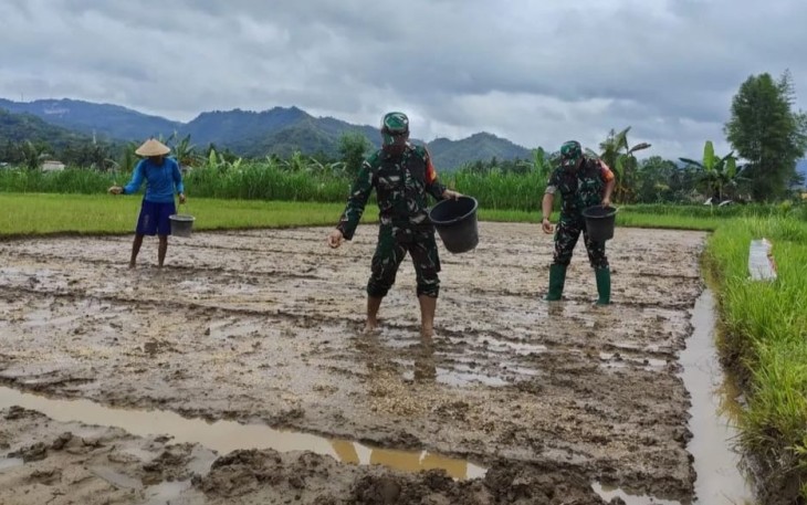 Pendampingan ketahanan pangan