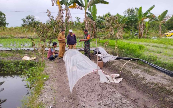 Komsos bersama petani cabe binaan