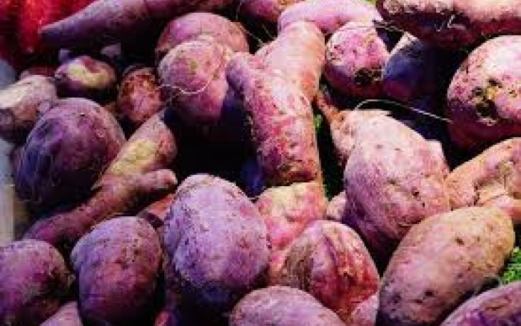 Ubi jalar lahan baku tepung Gluten Free