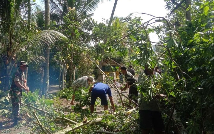 Bersihkan ranting pohon di tepi jalan