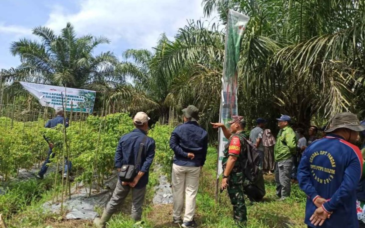 Jalin silaturahmi bersama petani binaan
