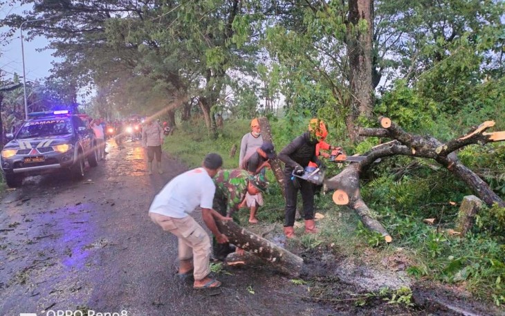 Evakuasi pohon tumbang di jalan desa binaan
