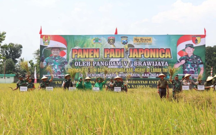 Panen raya padi Japonica di Kabupaten Ngawi