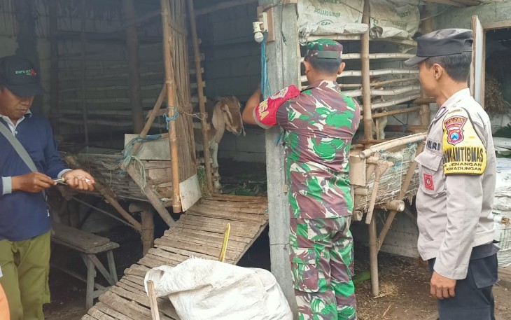 Vaksinasi PMK ternak warga binaan 