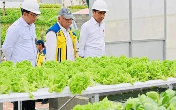 Potensi agrowisata bendungan Sukamahi Kabupaten Bogor 