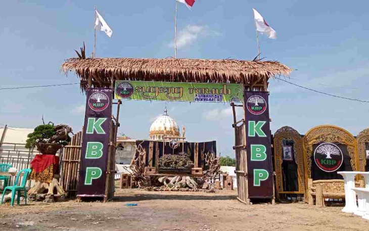 KBP gelar pameran bonsai 