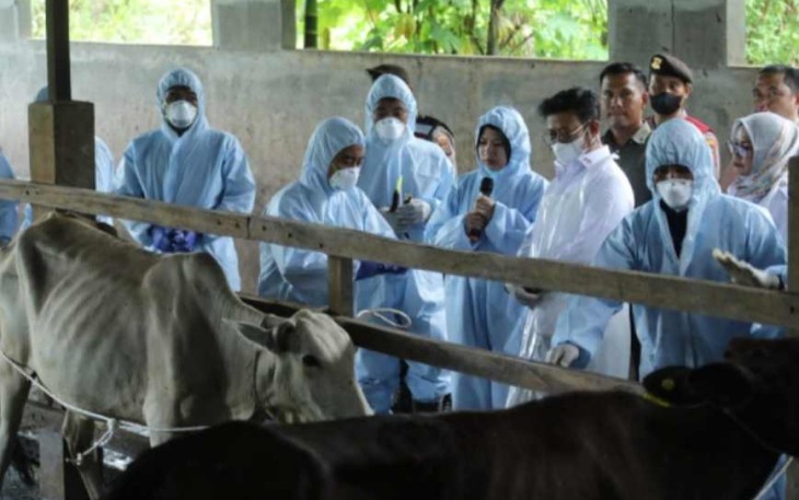Mentan SYL saat vaksinasi PMK di desa Emplasmen Kabupaten Deliserdang 